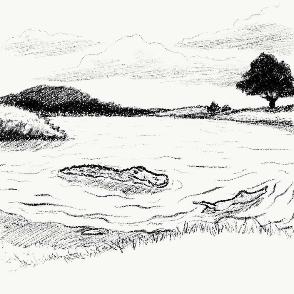 Illustration for: No matter how long a log stays in the water, it doesn't become a crocodile.
