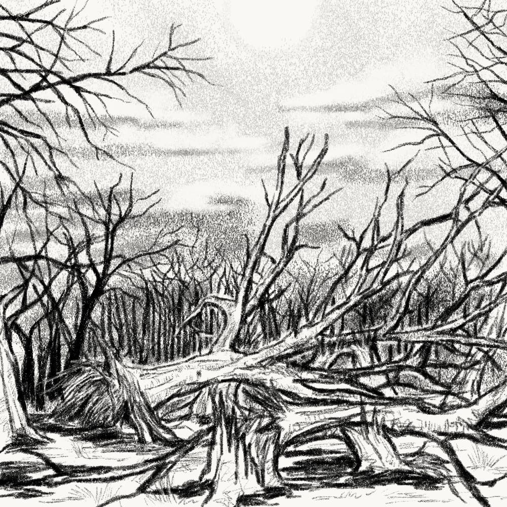 Illustration for: If a dead tree falls, it carries with it a live one.