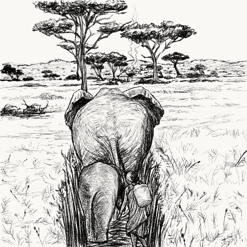 Illustration for: If you follow the elephant, you never get entangled in the forest.