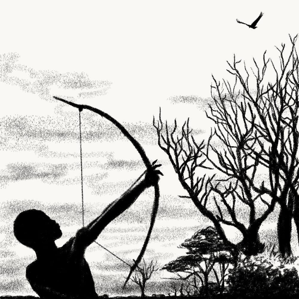 Illustration for: Eneke the bird says that since men have learnt to shoot without missing, he has learnt to fly without perching.
