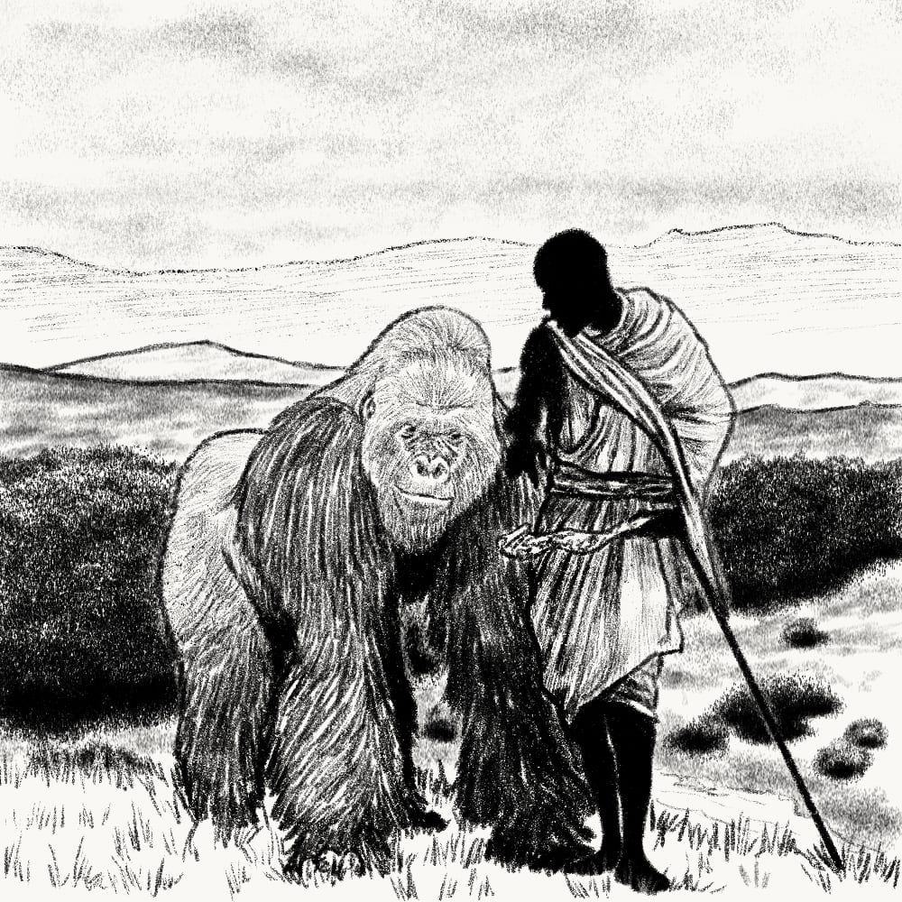 Illustration for: You do not teach the paths of the forest to an old gorilla.