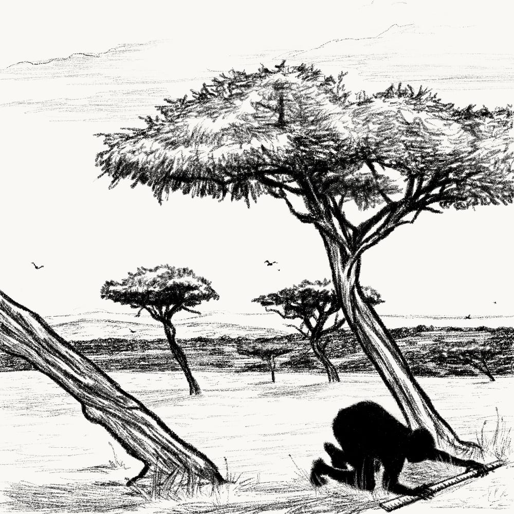 Illustration for: When the shadow of a tree is bent, straighten the tree not the shadow.