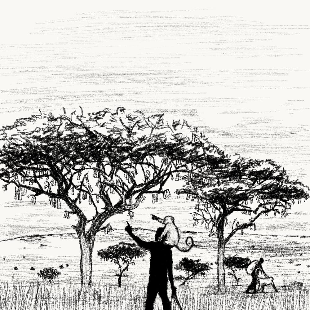 Illustration for: If money grew on trees, many people would be married to monkeys.