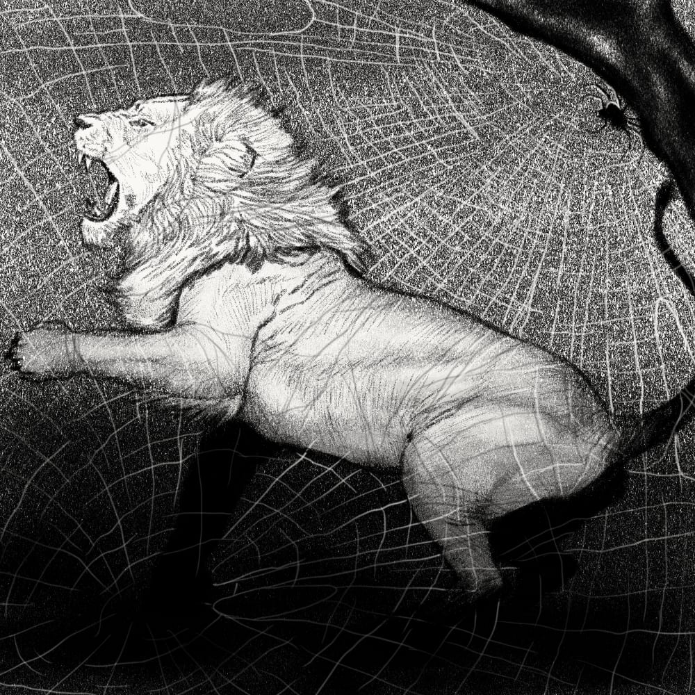 Illustration for: When spider webs unite they can tie up a lion.