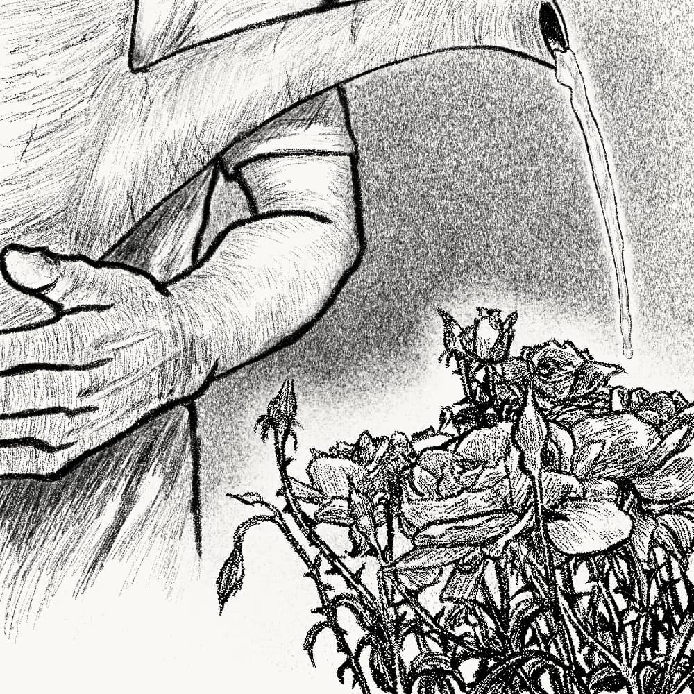 Illustration for: We will water the thorn for the sake of the rose.